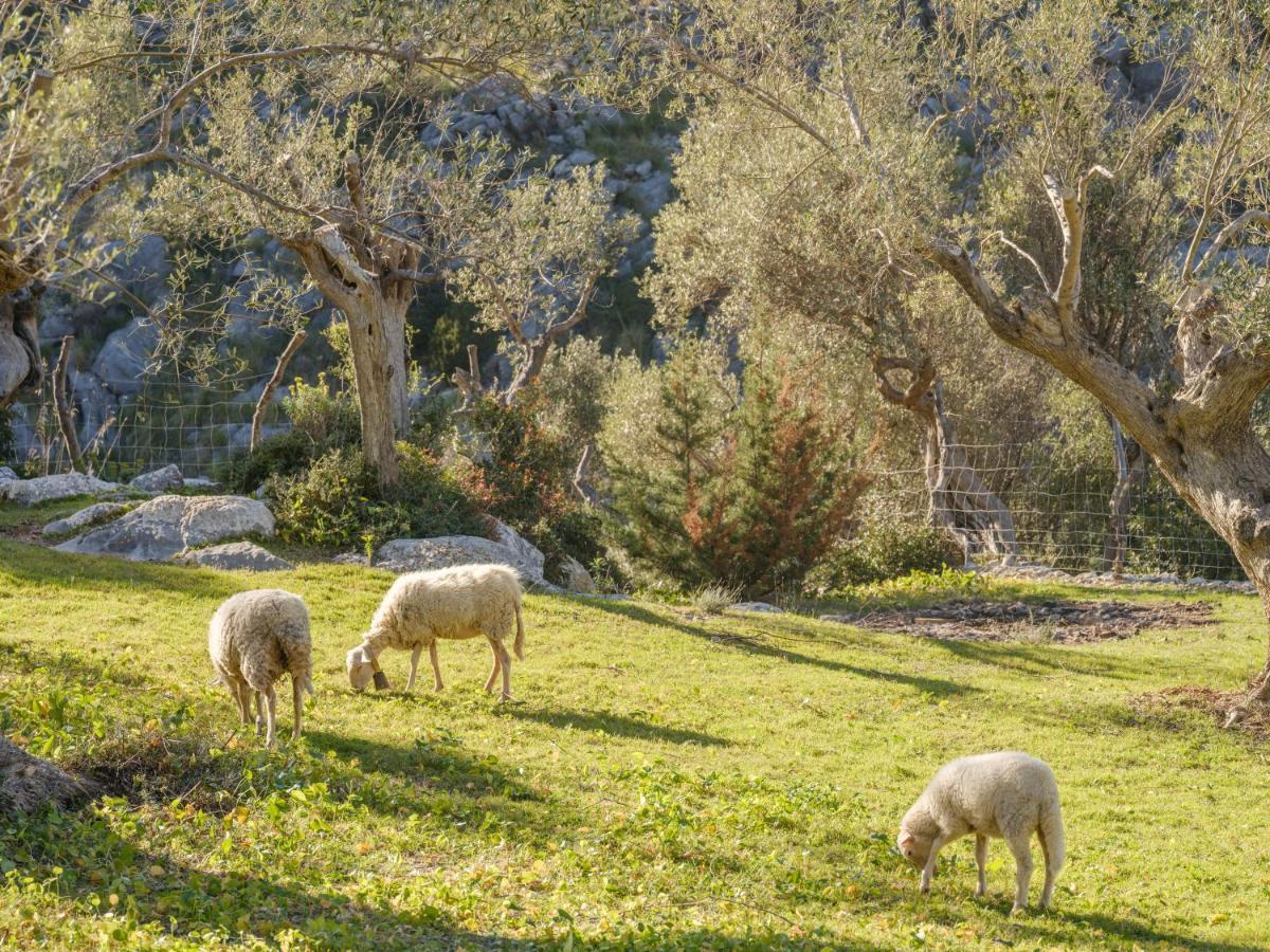 Agroturismo Muleta De Ca S'Hereu Puerto de Sóller Kültér fotó