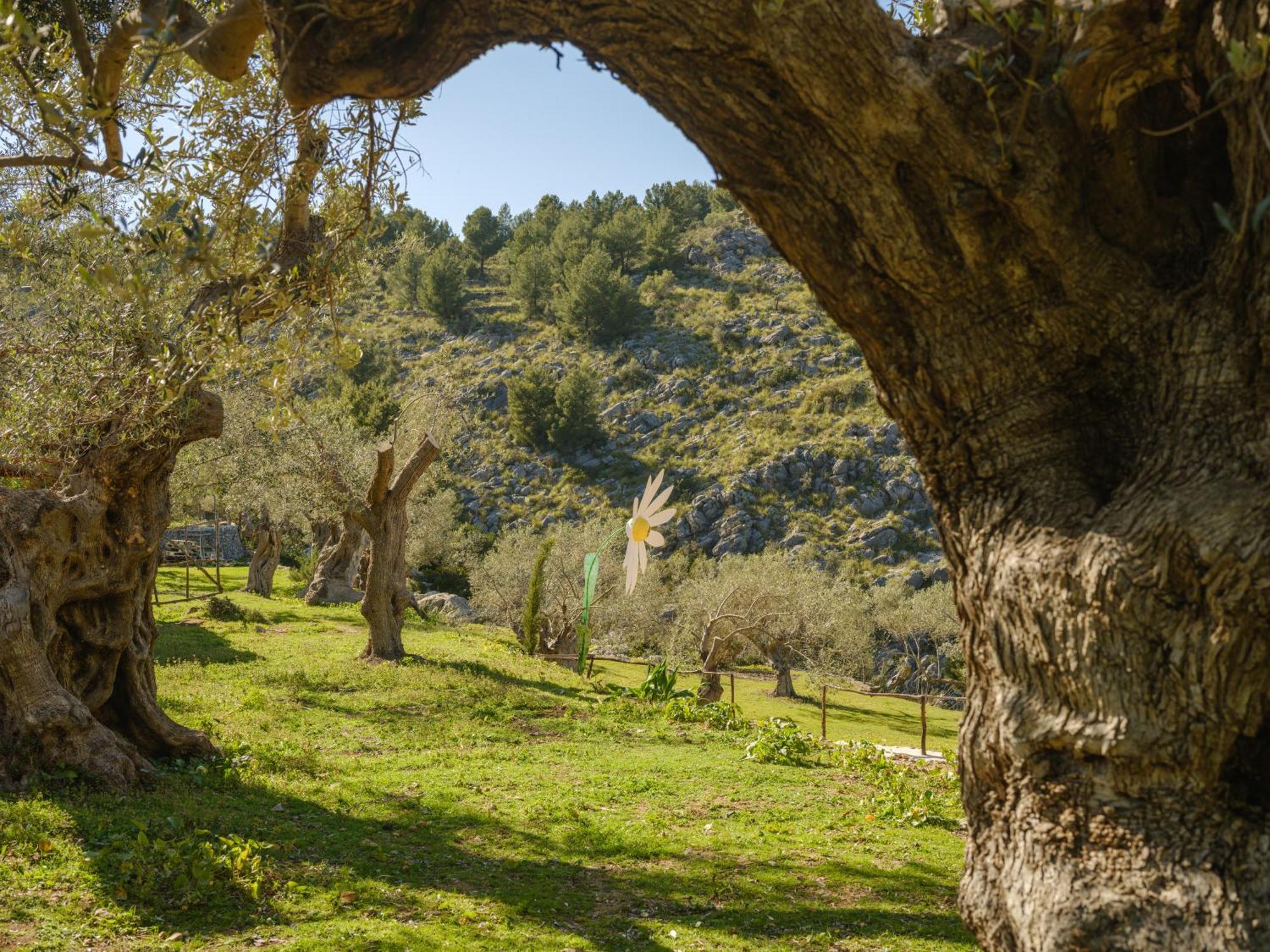 Agroturismo Muleta De Ca S'Hereu Puerto de Sóller Kültér fotó